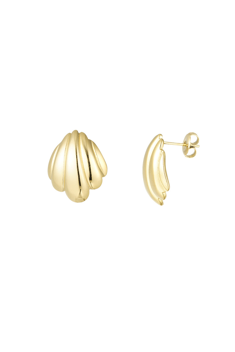 Earrings Shell Gold