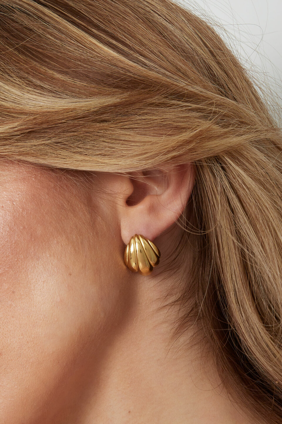 Earrings Shell Gold